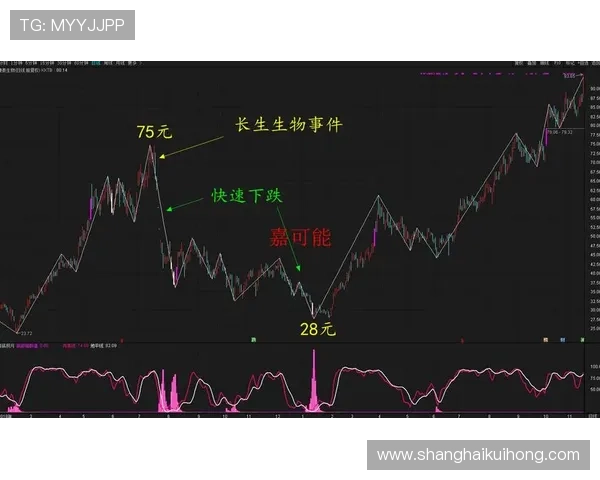 如何在AG真钱网中实现稳健盈利？专家为你揭秘高效投注策略与风险控制技巧