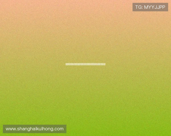 新西兰比利时比赛伤病新闻盘点及对世界杯晋级前景的影响分析